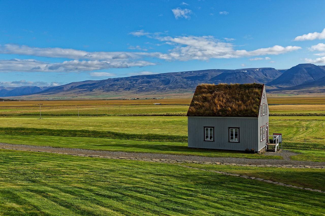 house, field, rural-6387074.jpg